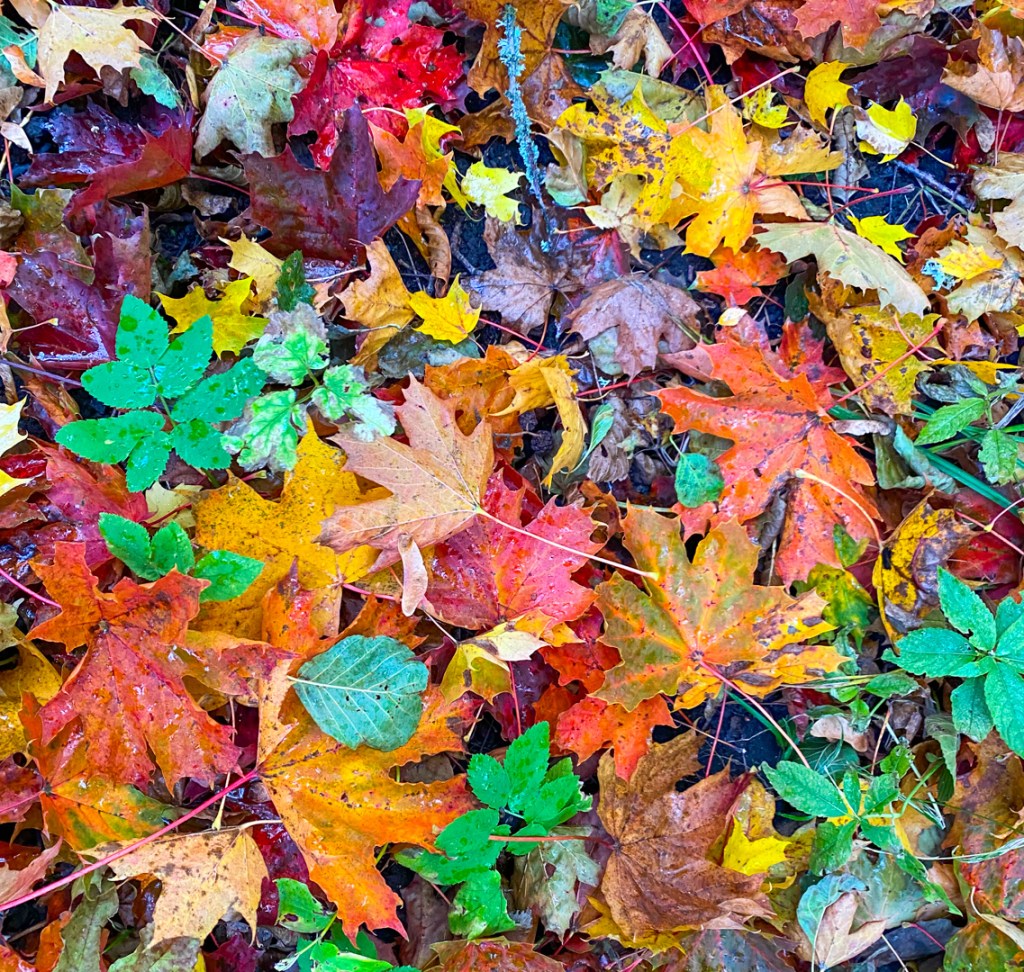 Två dagar med härliga nostalgiträffar.