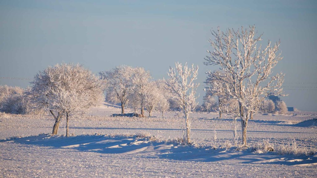Test av våra nya objektiv på vinterns vackraste&nbsp;dag!