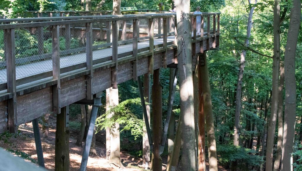 Trädtoppsvandring på Usedom