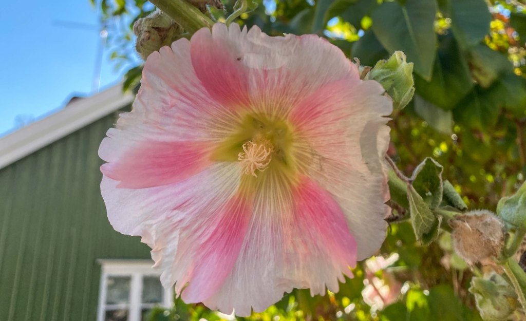 Ibland blir det inte som man tänkt&nbsp;sig…