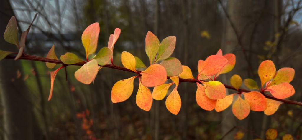 …och plötsligt var det helg&nbsp;igen…