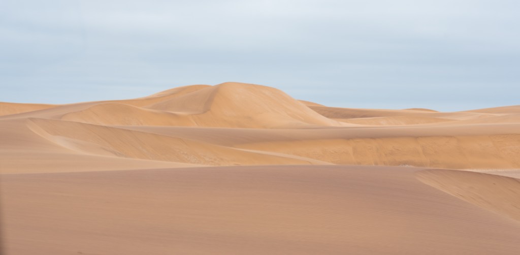 ”Smådjurssafari” i öknen.