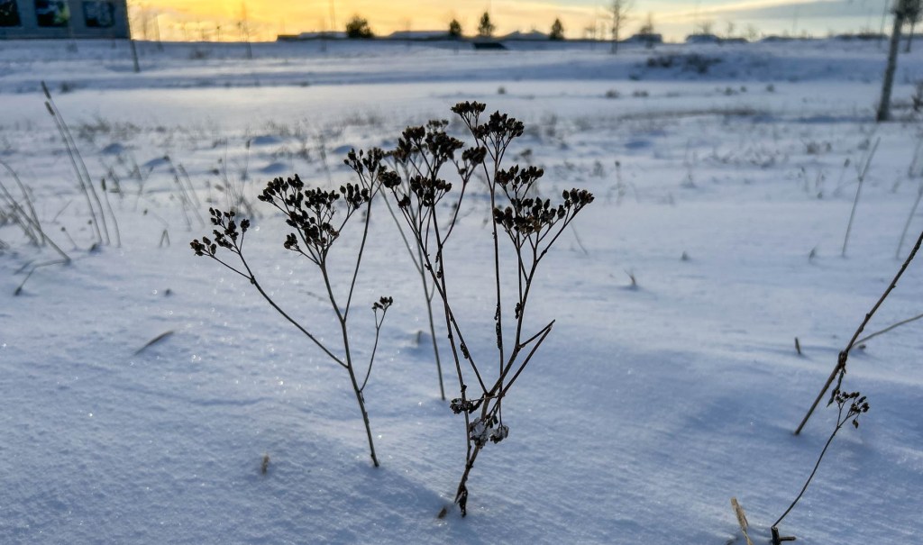 Nyårsfirande och äntligen fick vi&nbsp;vinterväder.